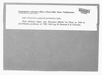 Image Associated With the Occurence